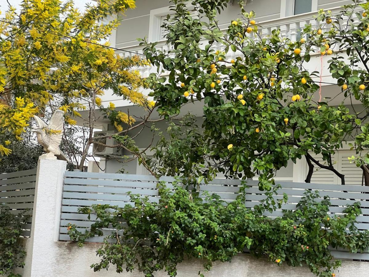 Apartments & Studios Ardian-Mandi Sarande-Albania Esterno foto
